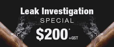 Leak Investigation Discount Wellington